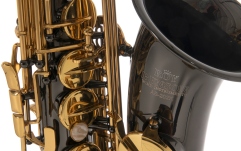 Saxofon Eb-Alt Roy Benson Saxofon Eb-Alt Roy Benson AS-202K 
