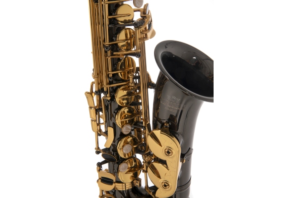 Saxofon Eb-Alt Roy Benson AS-202K 