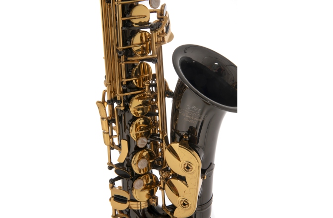Saxofon Eb-Alt Roy Benson Saxofon Eb-Alt Roy Benson AS-202K 