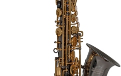 Saxofon Eb-Alt Roy Benson Saxofon Eb-Alt Roy Benson AS-202K 