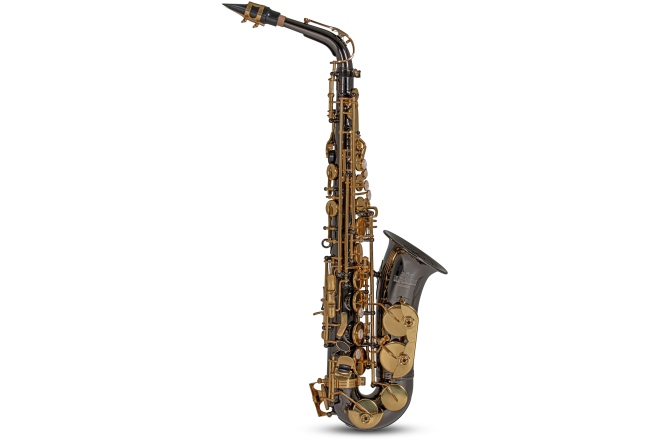 Saxofon Eb-Alt Roy Benson Saxofon Eb-Alt Roy Benson AS-202K 