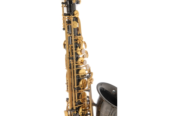 Saxofon Eb-Alt Roy Benson Saxofon Eb-Alt Roy Benson AS-202K 