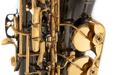 Saxofon Eb-Alt Roy Benson Saxofon Eb-Alt Roy Benson AS-202K 
