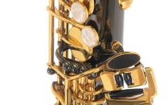 Saxofon Eb-Alt Roy Benson Saxofon Eb-Alt Roy Benson AS-202K 