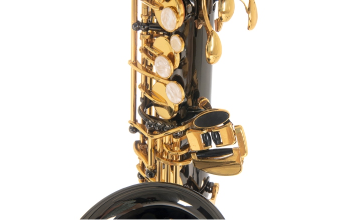 Saxofon Eb-Alt Roy Benson Saxofon Eb-Alt Roy Benson AS-202K 