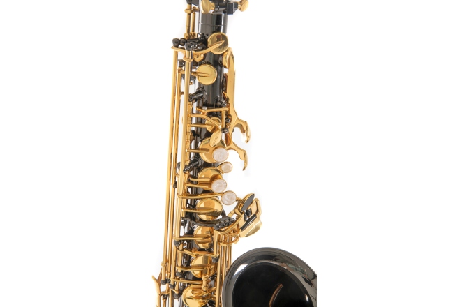 Saxofon Eb-Alt Roy Benson Saxofon Eb-Alt Roy Benson AS-202K 