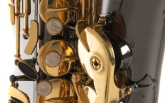 Saxofon Eb-Alt Roy Benson Saxofon Eb-Alt Roy Benson AS-202K 