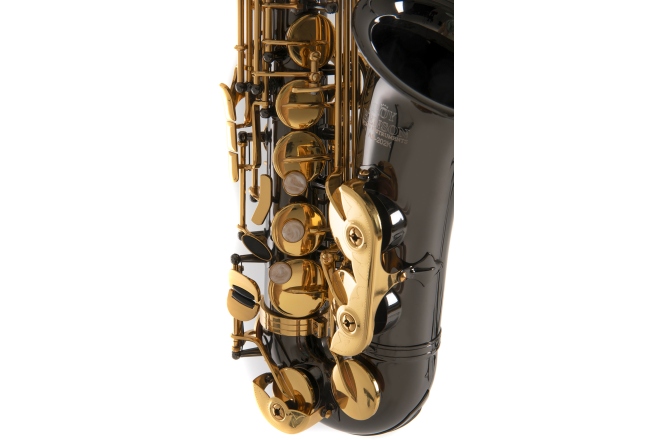 Saxofon Eb-Alt Roy Benson Saxofon Eb-Alt Roy Benson AS-202K 