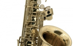Saxofon pentru copii Roy Benson AS-201 Eb Alto