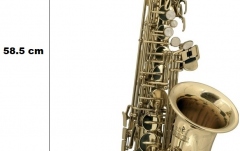 Saxofon pentru copii Roy Benson AS-201 Eb Alto
