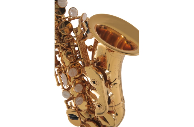 Saxofon Roy Benson Bb-Sopran Saxofon Roy Benson SG-302 