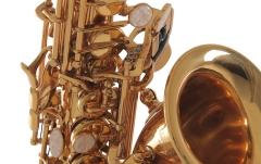 Saxofon Roy Benson Bb-Sopran Saxofon Roy Benson SG-302 