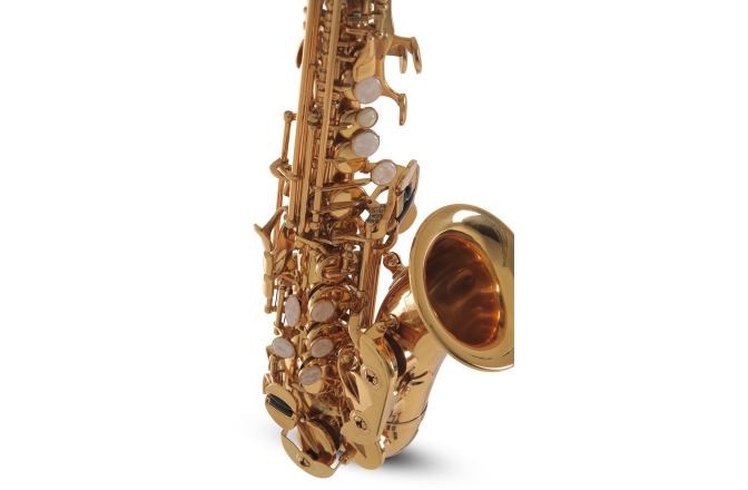 Saxofon Roy Benson Bb-Sopran Saxofon Roy Benson SG-302 