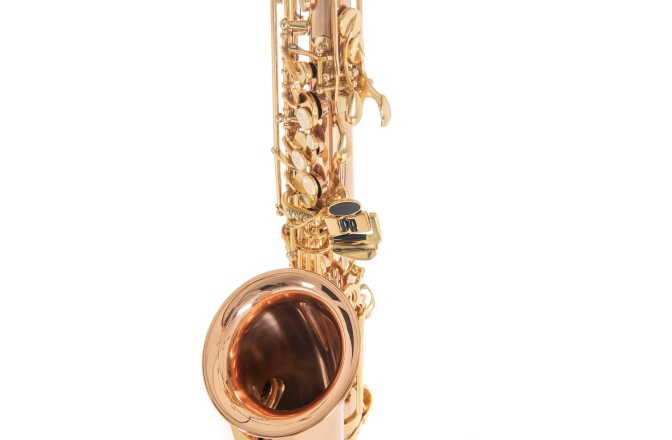 Saxofon Roy Benson Eb-Alt Roy Benson AS202G 