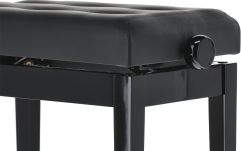 Scaun pian Gewa Deluxe Black  High Gloss - Leather 