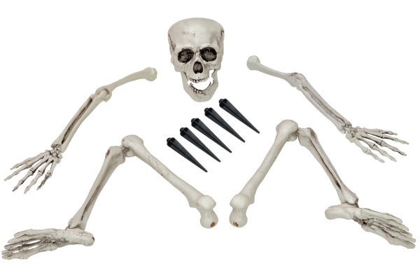 Halloween Skeleton, multipart Halloween Skeleton, multipart