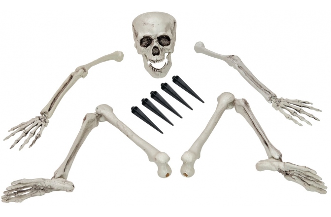Schelet dezmembrat Europalms Halloween Skeleton, multipart