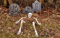 Schelet dezmembrat Europalms Halloween Skeleton, multipart