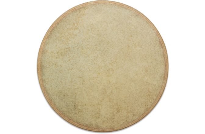Sea Drum Rohema Ocean Drum 20