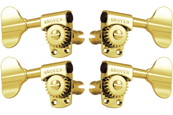 145G Titan Electric Bass 2 + 2 Gold 145G Titan Electric Bass 2 + 2 Gold
