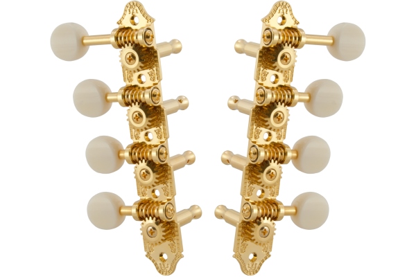 409FGW Professional Mandolin Standard "F"-Style Gold 409FGW Professional Mandolin Standard "F"-Style Gold