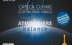 Set corzi de chitară clasică Ortega ABS Nylon String Set - Medium Tension