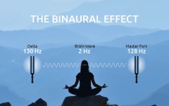 Set de diapazoane terapeutice Meinl Sonic Energy 2-piece Binaural Therapy Tuning Fork Set, Delta