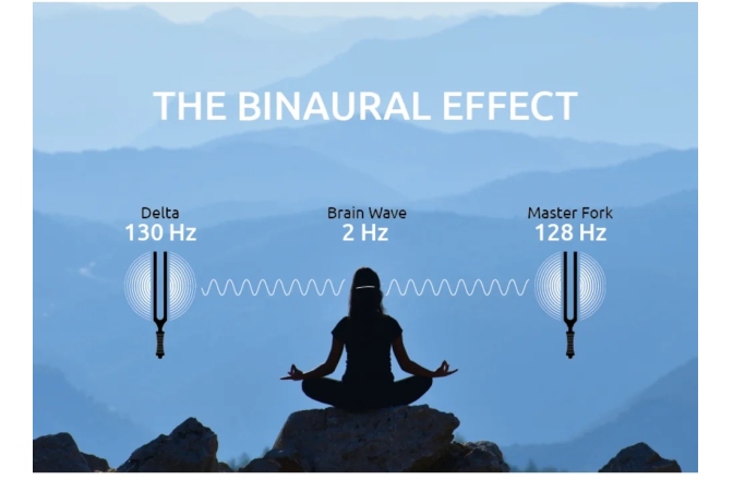 Set de diapazoane terapeutice Meinl Sonic Energy 2-piece Binaural Therapy Tuning Fork Set, Delta