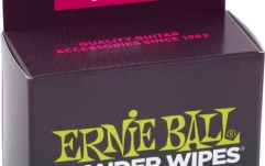 Set de întreținere grif  Ernie Ball Wonder Wibes 4276