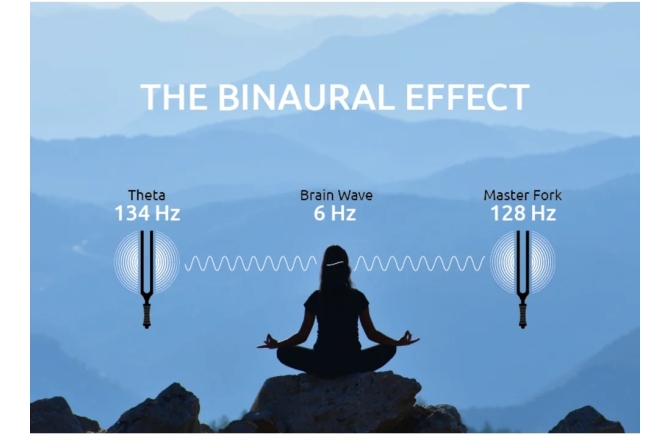 Set diapazoane terapeutice  Meinl Sonic Energy 2-piece Binaural Therapy Tuning Fork Set, Theta