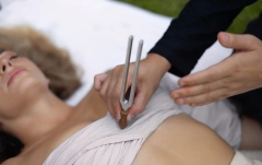 Set diapazoane terapeutice  Meinl Sonic Energy 2-piece TCM Therapy Tuning Fork Yin & Yang Set