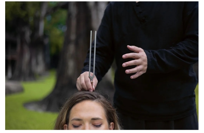 Set diapazoane terapeutice  Meinl Sonic Energy 2-piece TCM Therapy Tuning Fork Yin & Yang Set