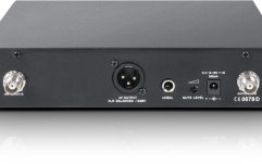 Set microfon wireless - chitară LD Systems WS 1000 G2 BPG