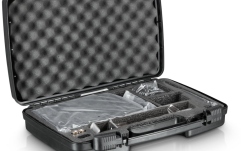 Set microfon wireless - chitară LD Systems WS 1000 G2 BPG