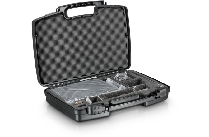 Set microfon wireless - chitară LD Systems WS 1000 G2 BPG