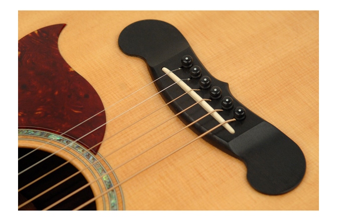 Set pini chitara acustica Daddario PW-PS10