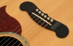 Set pini chitara acustica Daddario PW-PS12