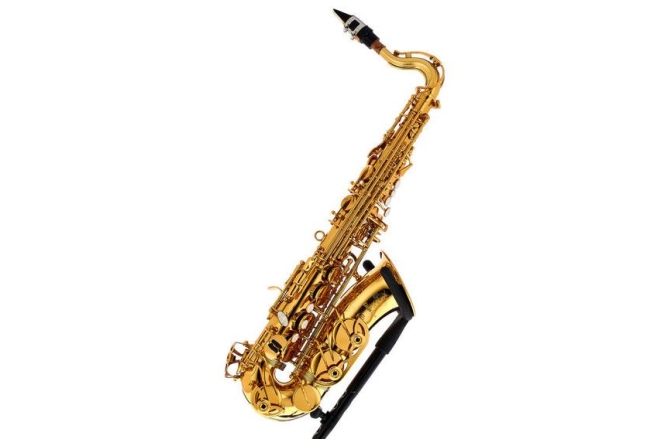 Set Saxofon Alto pentru copii Thomann Little Bee Kids Saxophone Set