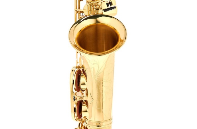 Set Saxofon Alto Thomann TAS-180 Alto Sax Set