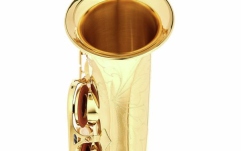 Set Saxofon Alto Thomann TAS-180 Alto Sax Set II