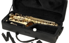 Set Saxofon Alto Thomann TAS-180 Alto Sax Set II