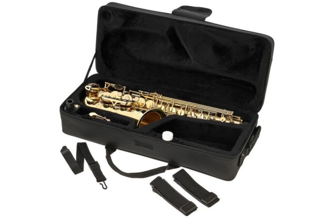 Set Saxofon Alto Thomann TAS-180 Alto Sax Set II