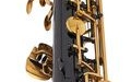 Set Saxofon Alto Thomann TAS-180 Black Alto Sax Set II
