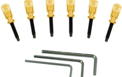 Set unelte si piese sistem tremolo Floyd Rose  FRHPGP - Hollow Point Intonation System - Gold