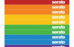 Set viniluri de control Serato Sticker Lock Control Vinyl 2x12