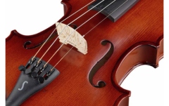 Set vioară 3/4 Stentor SR1542 Violin Graduate 3/4