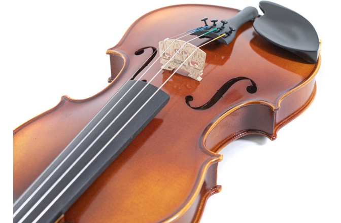 Set vioară acustică Gewa Allegro 4/4 Carbon RC RP
