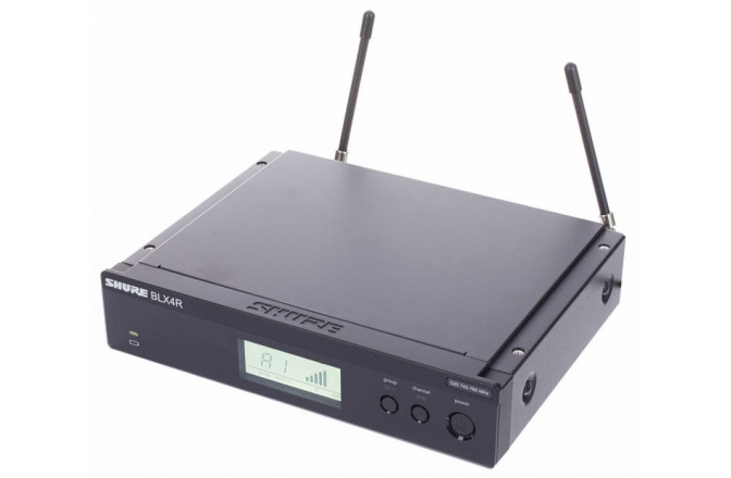 Set wireless Shure BLX24R / PG58