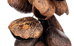 Shaker Meinl Percussion Pangi Waterfall Shaker, 40 Seeds