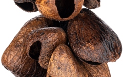 Shaker Meinl Percussion Pangi Waterfall Shaker, 40 Seeds